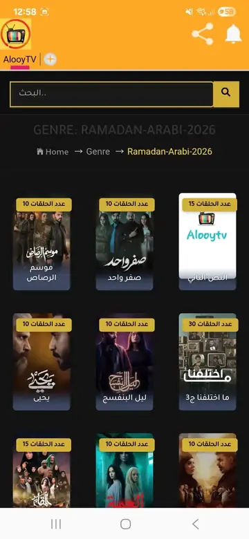 لقطة شاشة لمسلسلات رمضان العربي داخل تطبيق AlooyTV